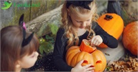 Afiș 25-31 octombrie: Petreceri de Halloween, șezătoarea gravidelor, festivalul Copăcel